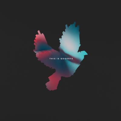 This Is Goodbye État correct reconditionné disponible sur Fnac | Dero