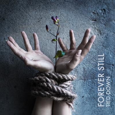 Acheter Tied Down État correct - 16,11 € Tied Down État correct reconditionné disponible sur Fnac