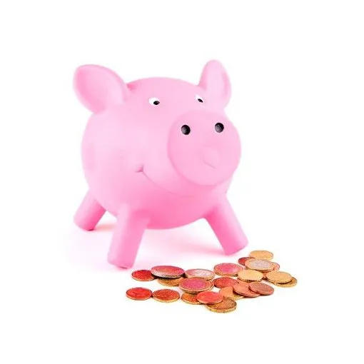 Tirelire cochon occasion reconditionné disponible sur Rakuten