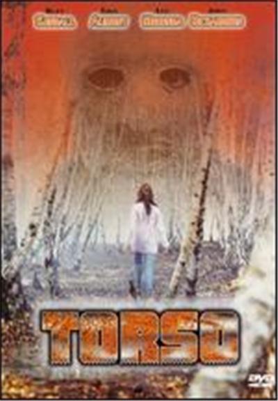 Acheter Torso - DVD Zone 1 État correct - 25,82 € Torso - DVD Zone 1 État correct reconditionné disponible sur Fnac