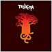 Tribeqa État correct reconditionné disponible sur Fnac