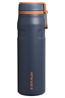 Twist Flip 0,7 L Gris Bon état Stanley reconditionné disponible sur Darty