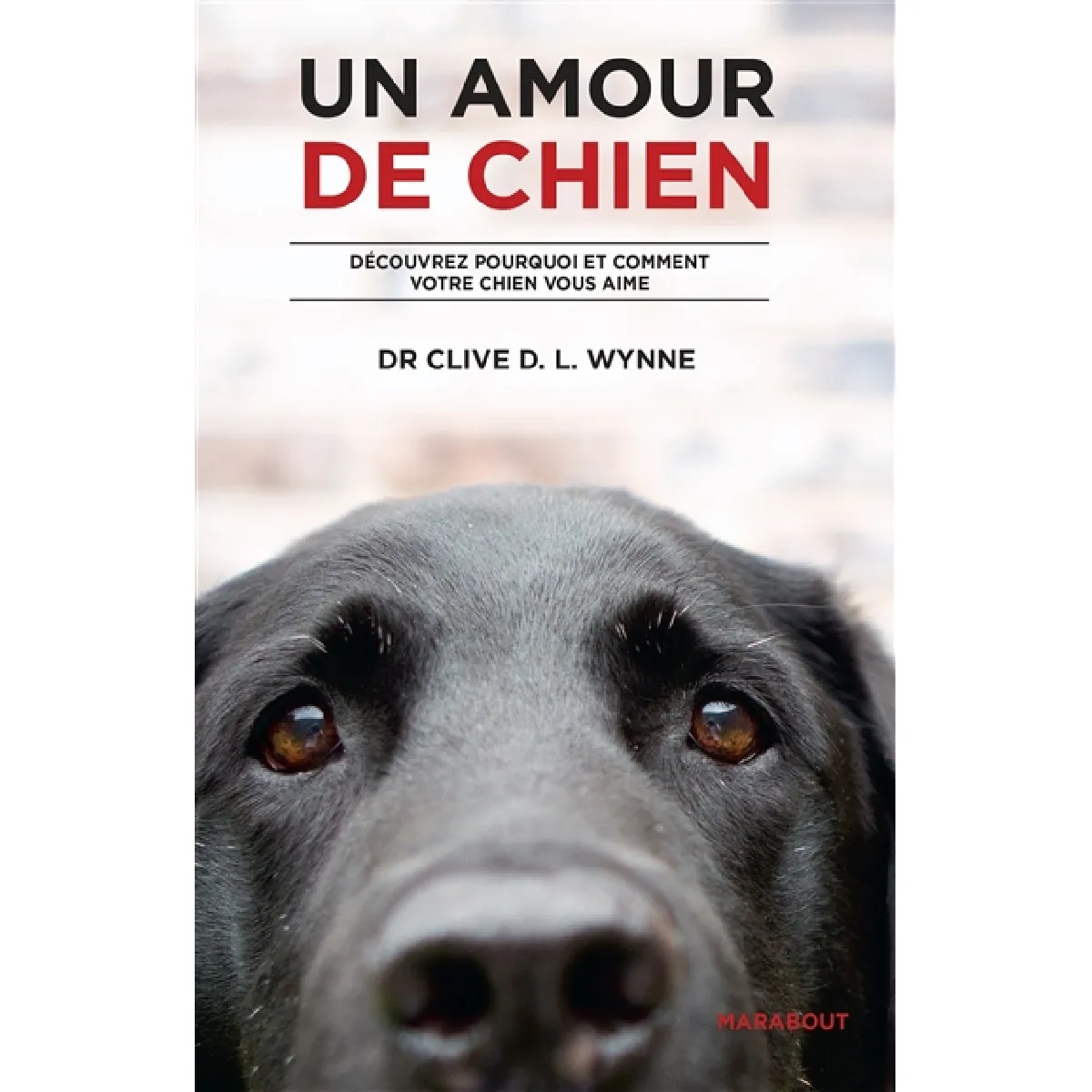 Acheter Un amour de chien : découvrez pourquoi et comment votre chien vous aime État correct - 11,10 € Un amour de chien : découvrez pourquoi et comment votre chien vous aime État correct N/A (Il ne s'agit pas d'une marque reconditionné disponible sur Rue du Commerce Seconde Vie