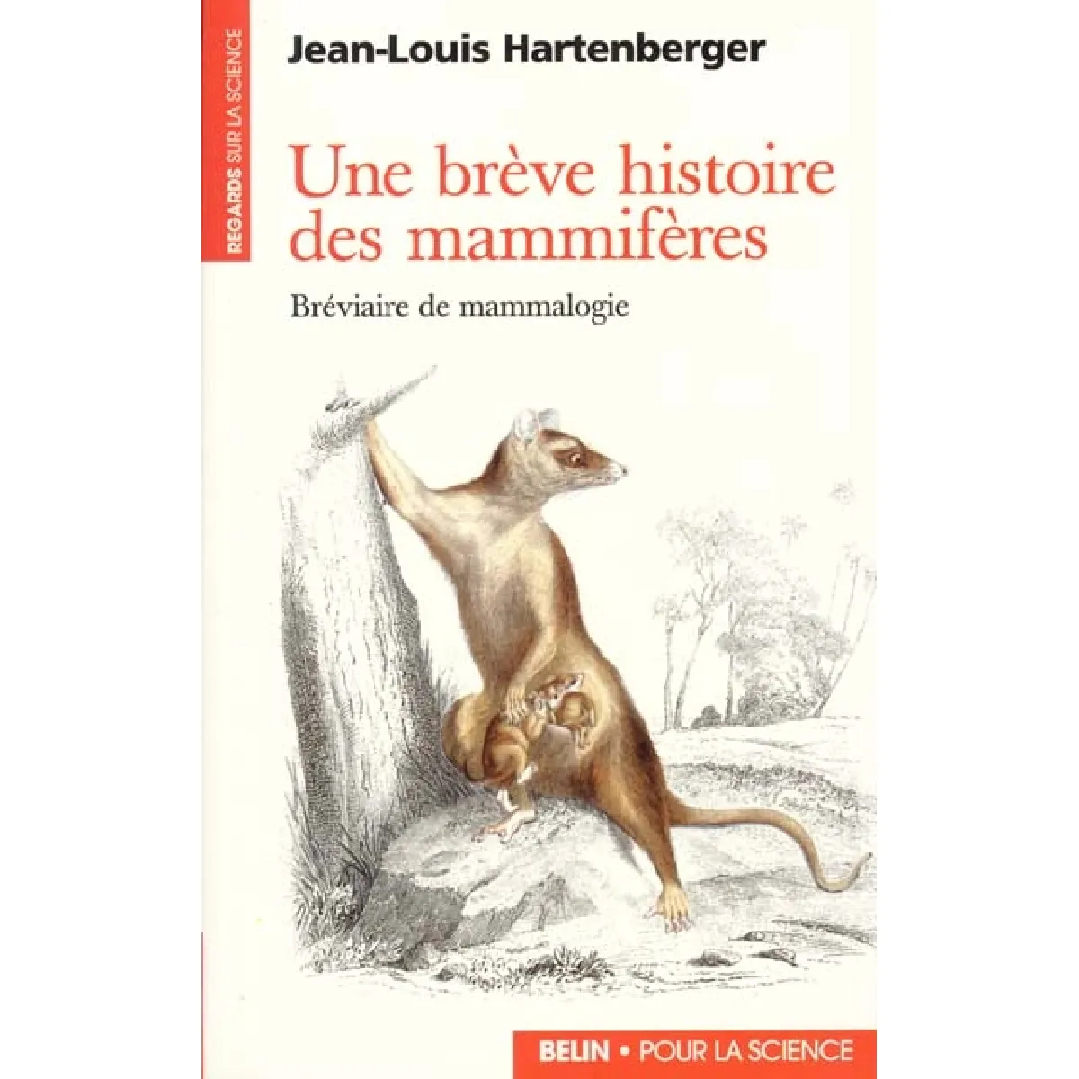 Acheter Une brève histoire des mammifères : bréviaire de mammalogie État correct - 12,88 € Une brève histoire des mammifères : bréviaire de mammalogie État correct N/A (Il ne s'agit pas d'une marque reconditionné disponible sur Rue du Commerce Seconde Vie