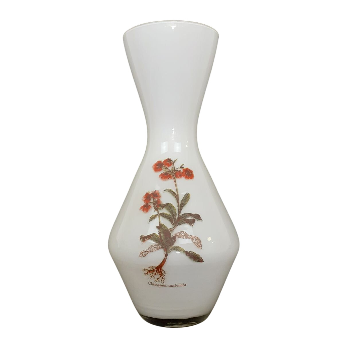 Acheter Vase - Déco fleurie - Style Arcopal Très bon état - 10,00 € Vase - Déco fleurie - Style Arcopal Très bon état reconditionné disponible sur Label Emmaüs