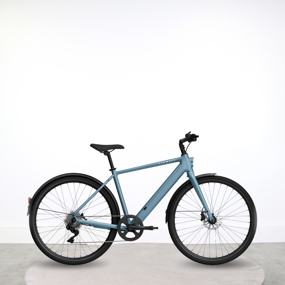 Vélo de ville électrique Tenways CGO600 Plus PG N/A reconditionné disponible sur Loewi