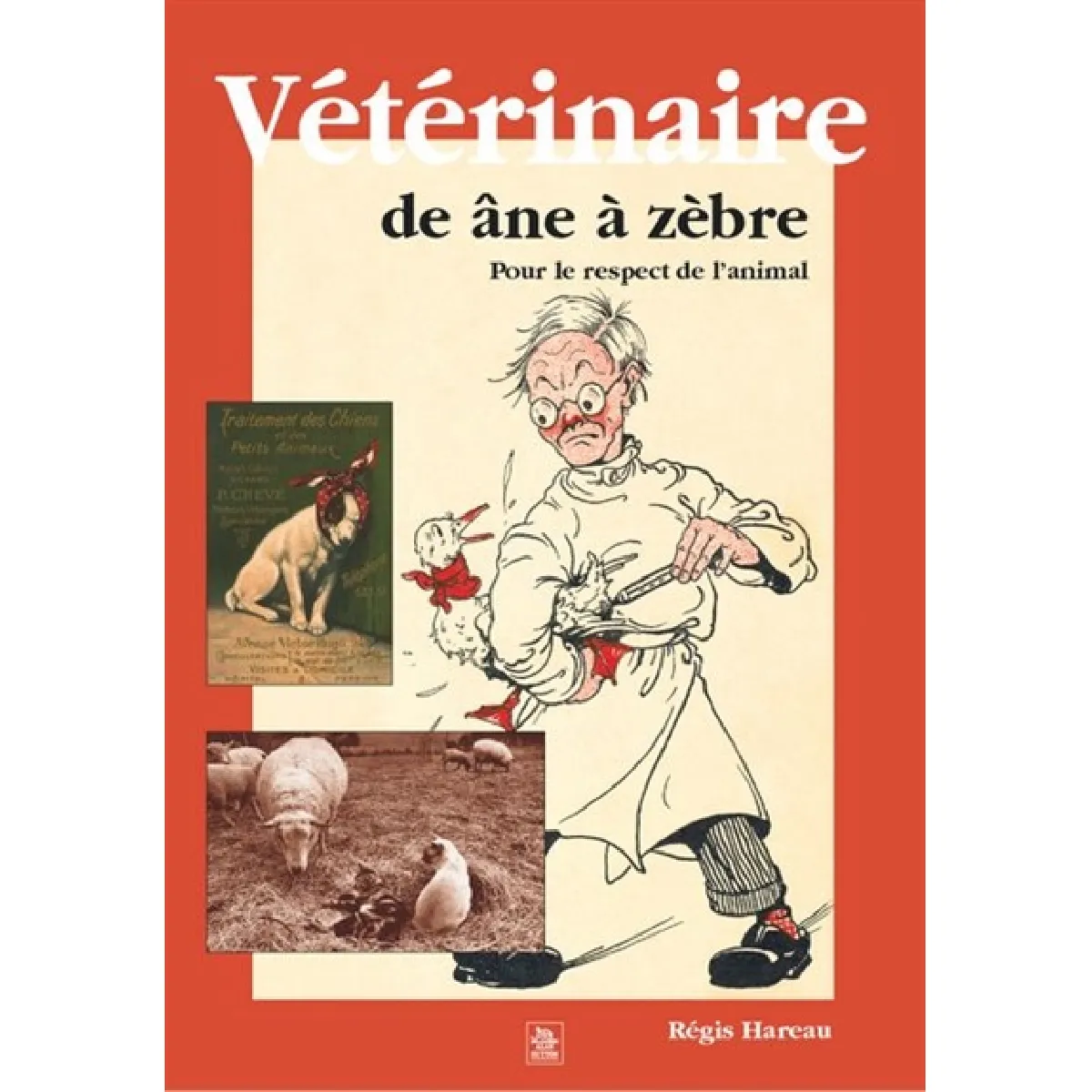 Acheter Vétérinaire : de âne à zèbre : pour le respect de l'animal État correct - 18,00 € Vétérinaire : de âne à zèbre : pour le respect de l'animal État correct N/A (Il ne s'agit pas d'une marque reconditionné disponible sur Rue du Commerce Seconde Vie