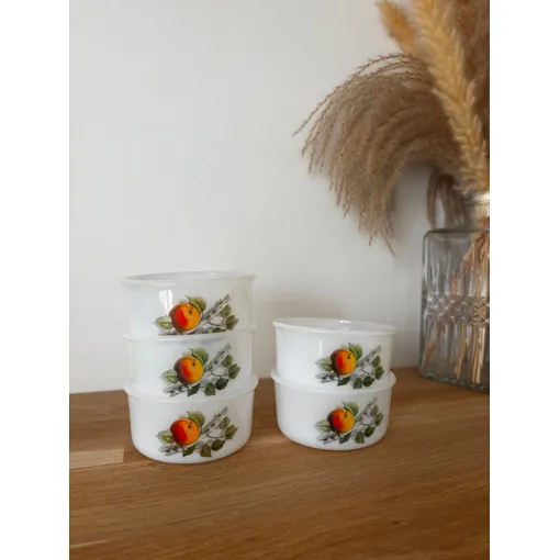 Vintage Lot De 5 Ramequins Arcopal Fruits Du Verger occasion reconditionné disponible sur Rakuten
