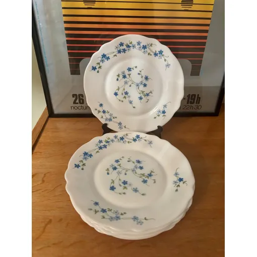 Vintage Lot De 6 Assiettes À Dessert Arcopal Véronica Myosotis Bon état reconditionné disponible sur Rakuten