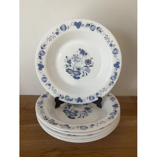 Vintage Lot De 6 Assiettes Creuses Arcopal Aster Bon état reconditionné disponible sur Rakuten