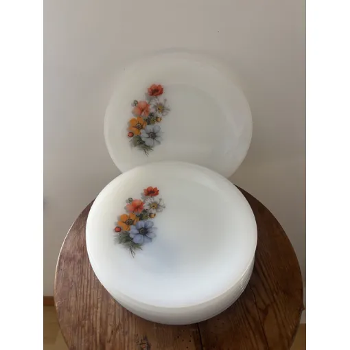 Vintage Lot De 8 Assiettes À Dessert Arcopal Anémones Bon état reconditionné disponible sur Rakuten