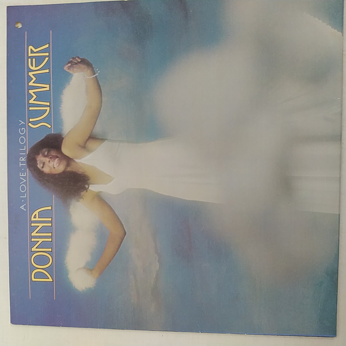 Acheter Vinyle 33 tours de Donna Summer - A Love Trilogy Bon état - 10,50 € Vinyle 33 tours de Donna Summer - A Love Trilogy Bon état reconditionné disponible sur Label Emmaüs