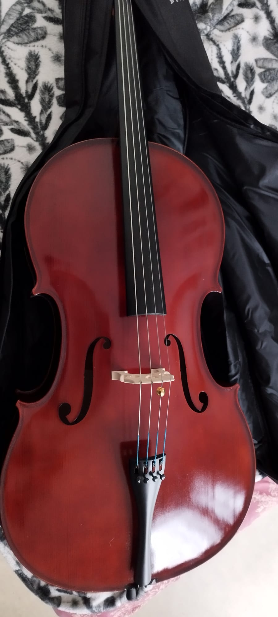 Violoncelle 4/4 Gewa Pure Ew Très bon état - 650,00 € Violoncelle 4/4 Gewa Pure Ew Très bon état reconditionné disponible sur Zic Ethic