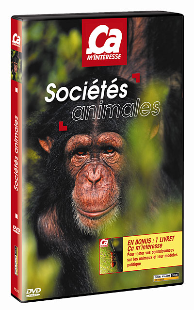 Volume 9 - Les Sociétés animales État correct reconditionné disponible sur Fnac