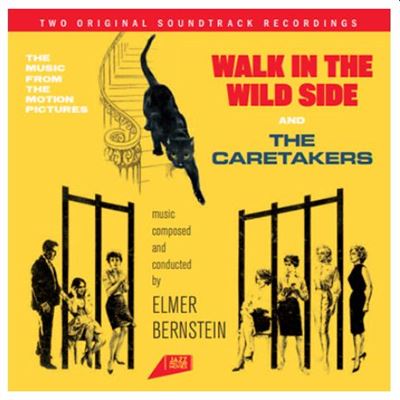 Walk In The Wild Side / The Caretakers État correct reconditionné disponible sur Fnac