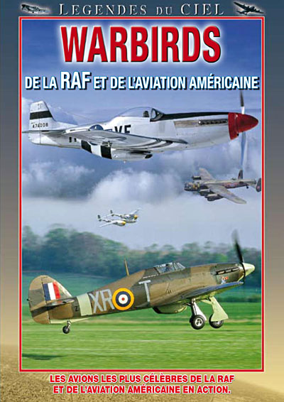 Warbirds État correct reconditionné disponible sur Fnac