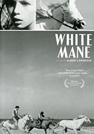 White mane/criterion - DVD Zone 1 État correct reconditionné disponible sur Fnac