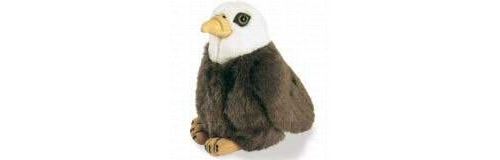 Wild Republic FBA_79364 Aigle à tête blanche. Audubon Plush (Authentic Bird Sound) État correct Wild Republic reconditionné disponible sur Fnac