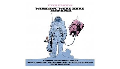 Wish you were here symphonic Edition limitée État correct reconditionné disponible sur Fnac