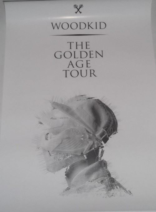 Woodkid - 40x60 cm - AFFICHE / POSTER État correct N/A reconditionné disponible sur Fnac
