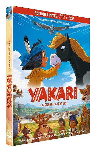 Yakari Le Film Edition Limitée Combo Blu-ray DVD État correct - 18,88 € Yakari Le Film Edition Limitée Combo Blu-ray DVD État correct reconditionné disponible sur Fnac