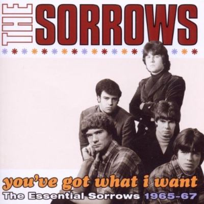 Acheter You ve got what i want the essential sorrows 1965 67 État correct - 13,96 € You ve got what i want the essential sorrows 1965 67 État correct reconditionné disponible sur Fnac