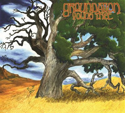 Young Tree État correct reconditionné disponible sur Fnac