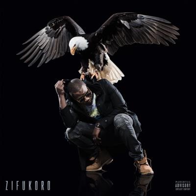 Zifukoro État correct reconditionné disponible sur Fnac
